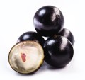 jabuticaba 2.jpg