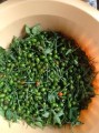 Pimenta Comari 3.jpg